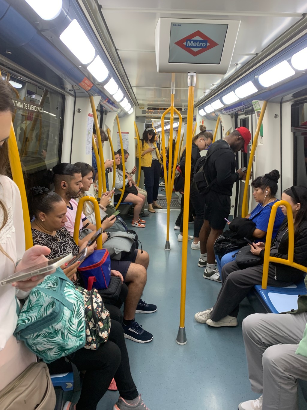 The Garden of Earthly&nbsp;Delights