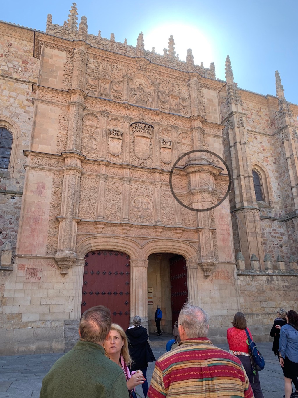 Find the frog in 5&nbsp;minutes