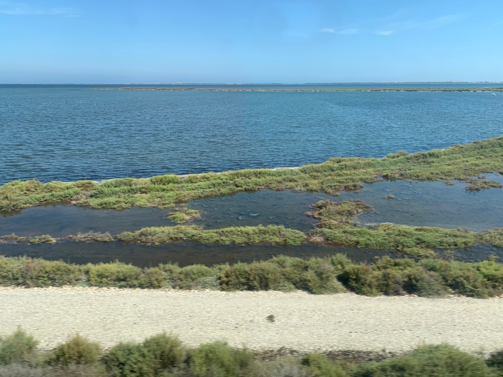 Eugoria finds its&nbsp;home