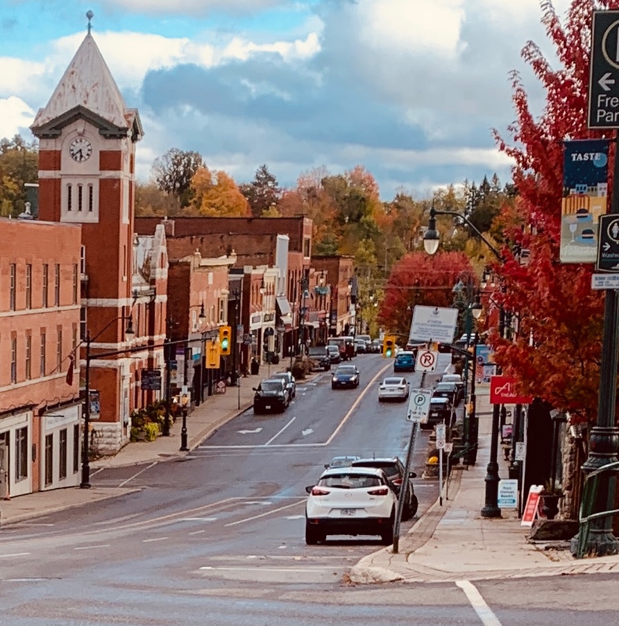 The Algonquin experience