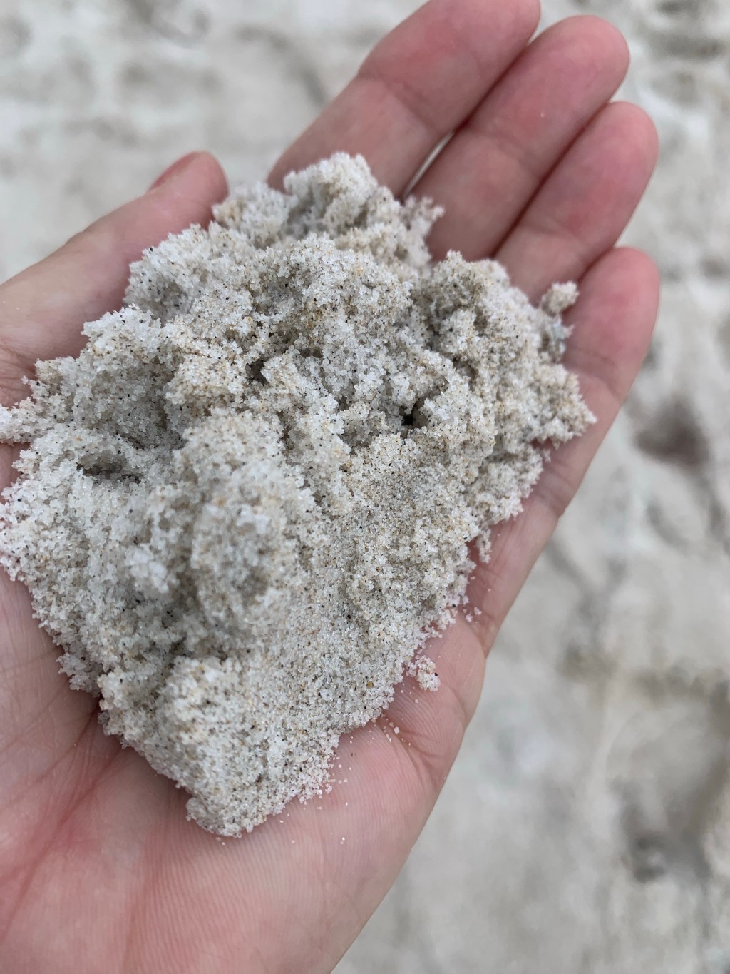 Squeaky Beach? not&nbsp;so…