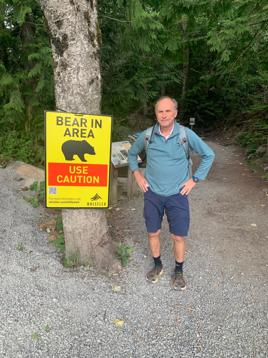 Beware of the Bear